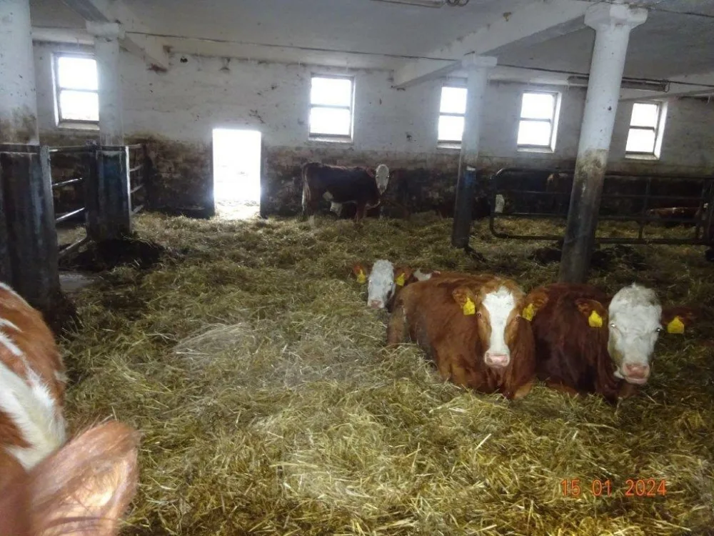 Veterináři provedli v pondělí v chovu mimořádnou kontrolu, vše ale bylo v pořádku.