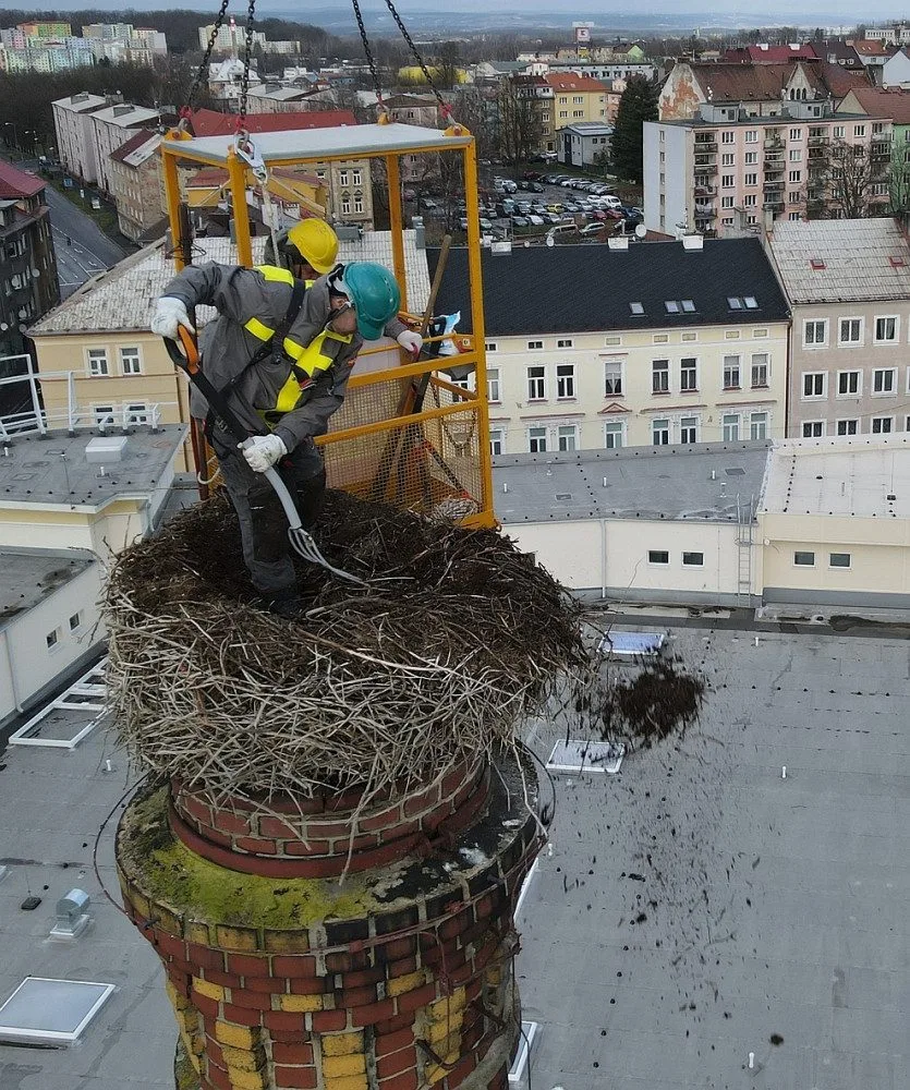 Netradiční den pracovníků hobbymarketu, rekonstruovali staré hnízdo čápů na 24 metrů vysokém komíně