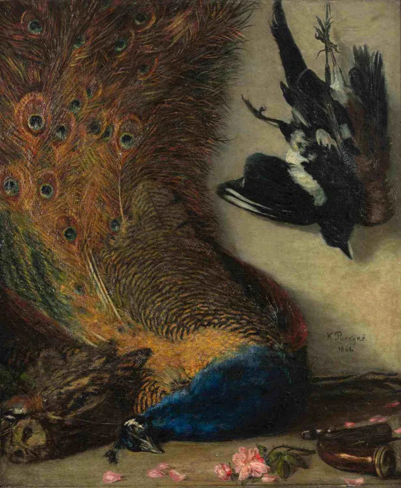 Karel Purkyně, Zátiší s pávem (Cikánova lovecká kořist), 1861, ZČG