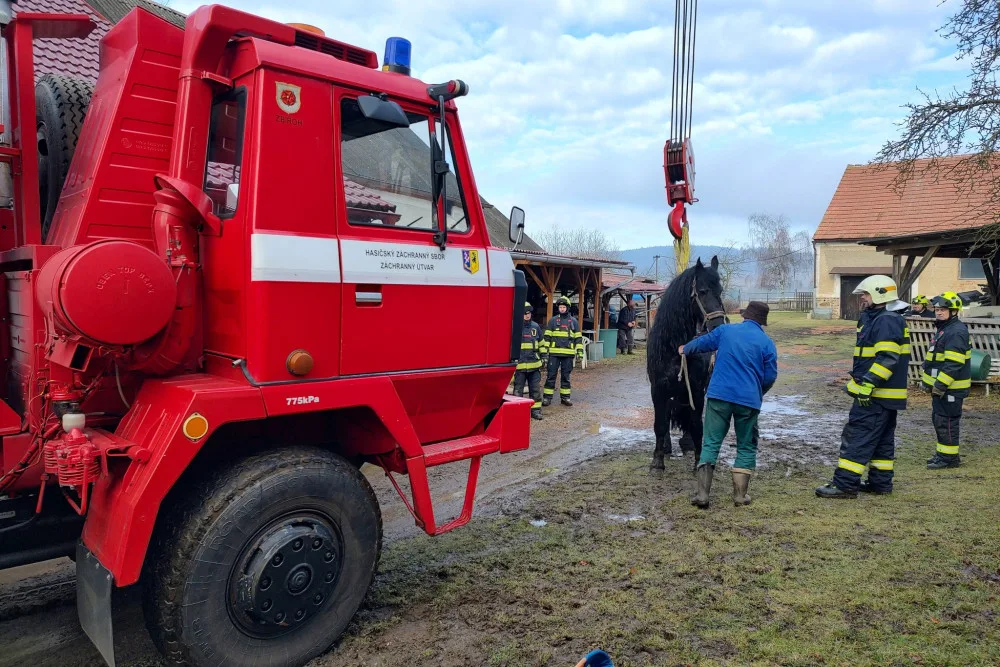 Kůň upadl a nedokázal se zvednout, znovu na nohy ho postavili hasiči s jeřábem