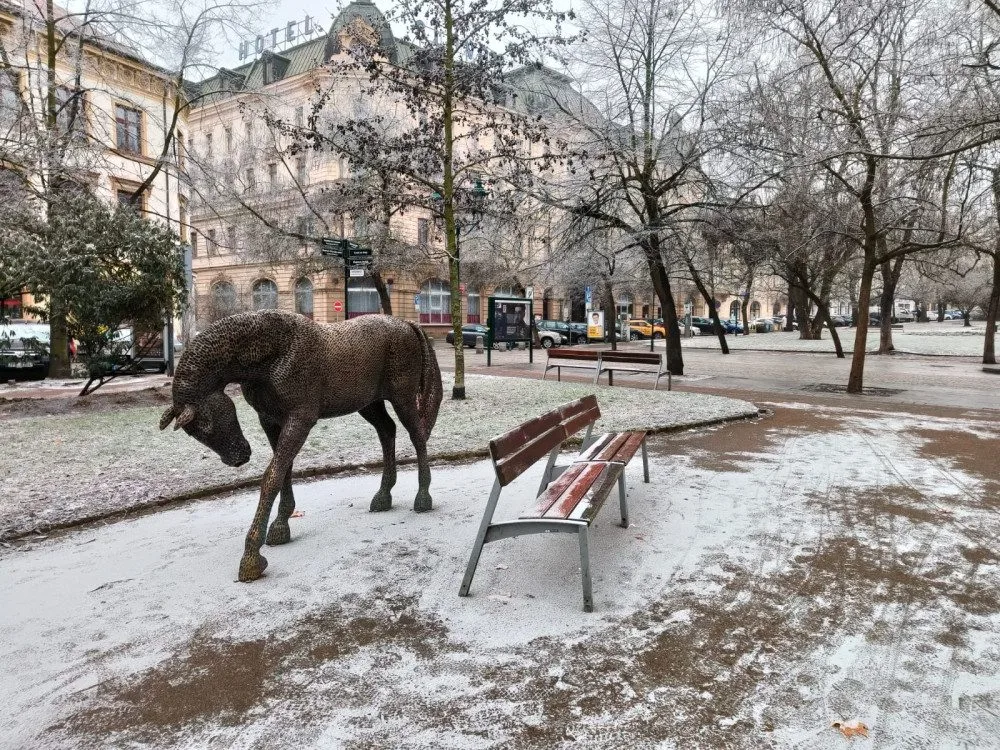 Poslední záchvěv zimy by mohl přijít na přelomu února a března, odhadují meteorologové