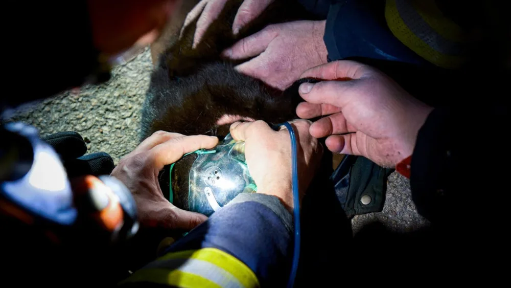 FOTO: Hasiči resuscitovali kočku a z hořícího domu zachránili také králíka