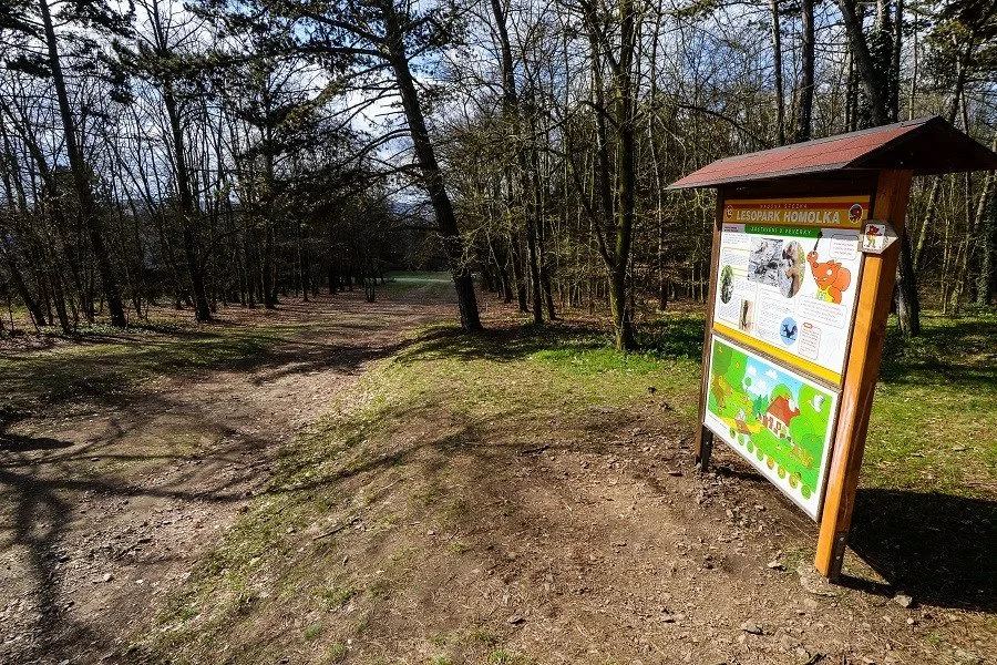 Přes 90 stromů v lesoparku Homolka půjde k zemi, dřeviny jsou suché nebo poškozené