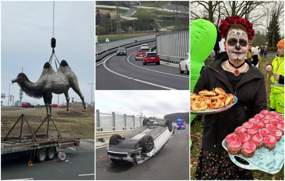 ÚNOR 2024: Socha velbloudice, likvidace squatu i masopustní veselí