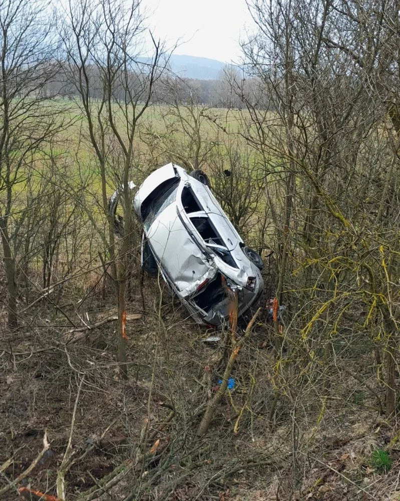 Tento automobil se při jiné nehodě doslova napíchl na strom