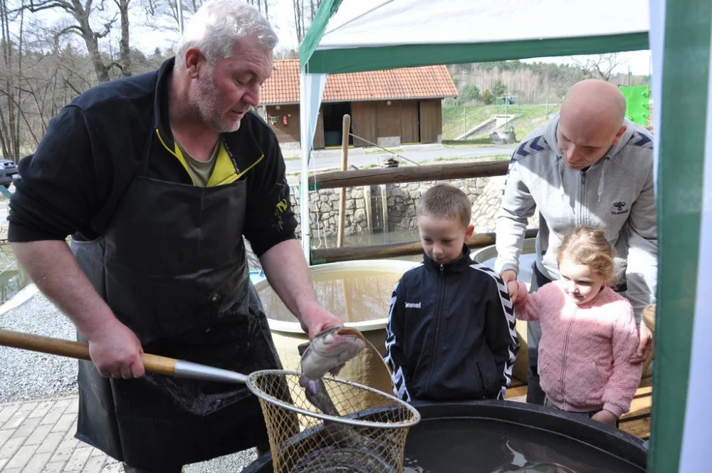 Městské sádky nabídnou velikonoční prodej ryb, podle tradic se ryba servírovala jako postní jídlo