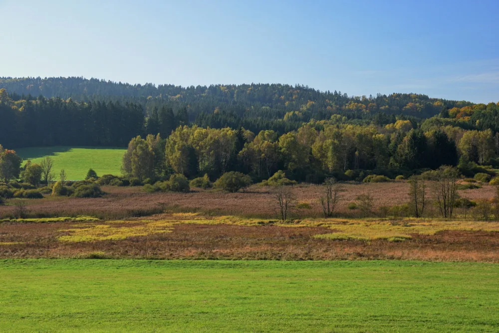 Šetrné zemědělství prospívá krajině, území u Nemanic pokrývají vzácné druhy orchidejí