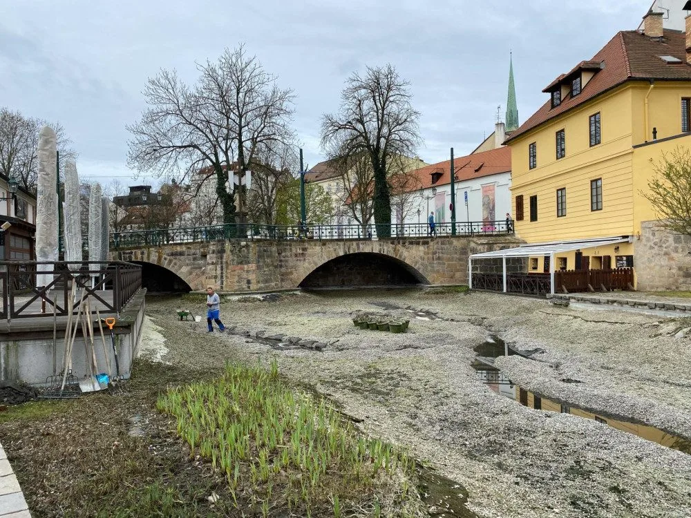 Jezírko přezdívané jako plzeňské Benátky je bez vody i barevných koi kaprů, prochází očistou