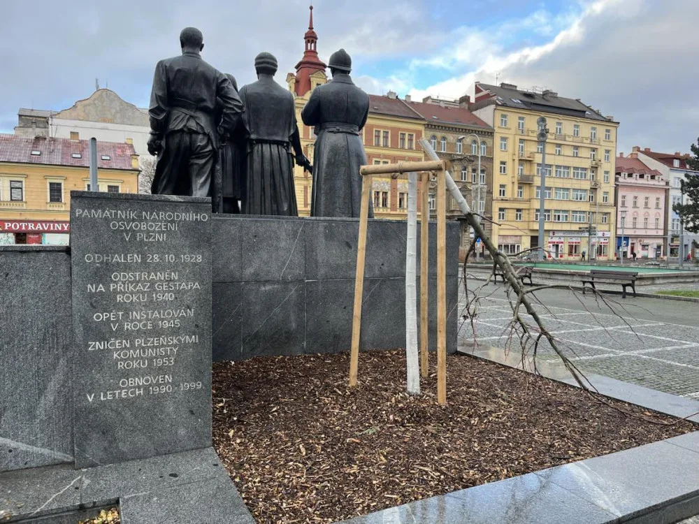 Předchozí mladý strom poškodil vandal