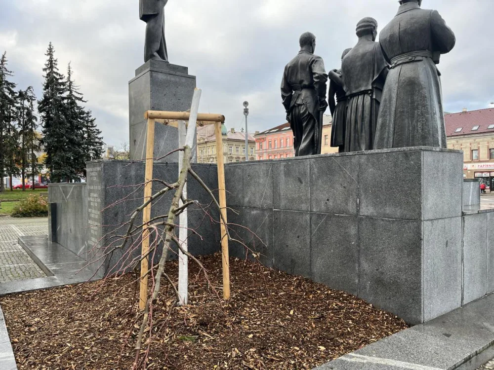 Předchozí mladý strom poškodil vandal