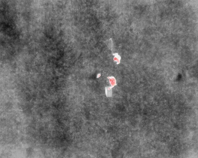 Každý rok zemřou při sečích desetitisíce srnčat, zachraňují je dobrovolníci a dronaři s termokamerou