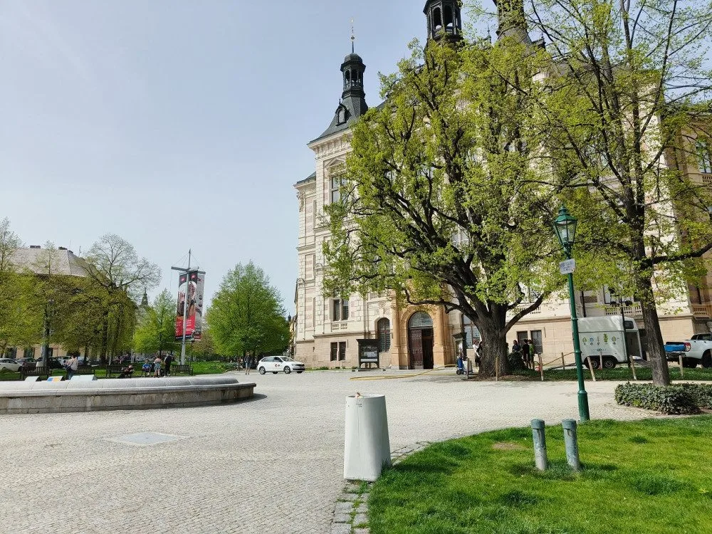 Stoletý dub v centru města dostal speciální infuzi, která ho vyživí a ochrání před škůdci