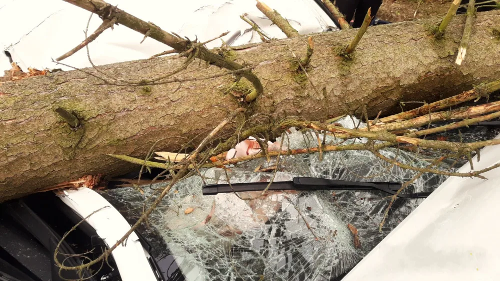 VIDEO: Na jedoucí auto spadl strom. Ze zdemolovaného vozu vyprošťovali hasiči těžce zraněnou ženu