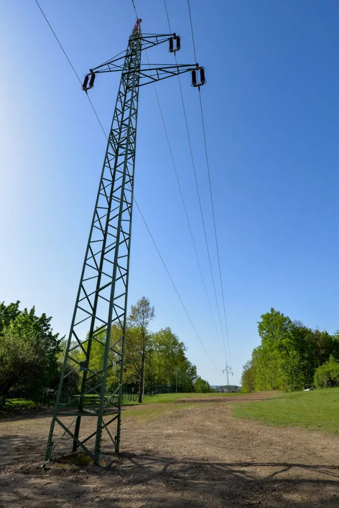 Stromy pod elektrickým vedením v největším městském parku musely pryč, nahradila je rozlehlá louka