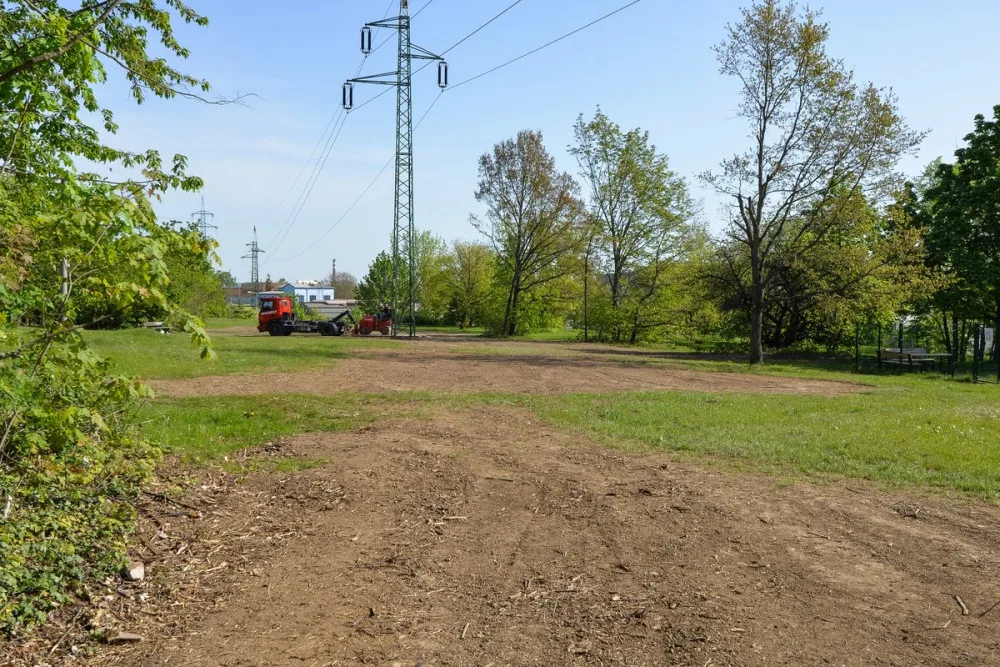 Stromy pod elektrickým vedením v největším městském parku musely pryč, nahradila je rozlehlá louka