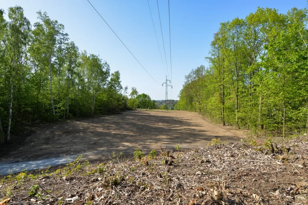 Stromy pod elektrickým vedením v největším městském parku musely pryč, nahradila je rozlehlá louka