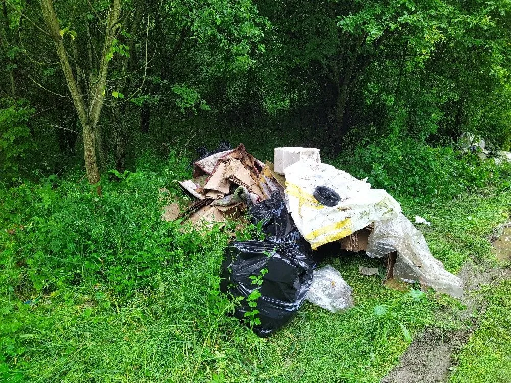 Vězni pomohli uklidit šest tun odpadků. V haldě bylo 150 injekčních stříkaček a malé kotě