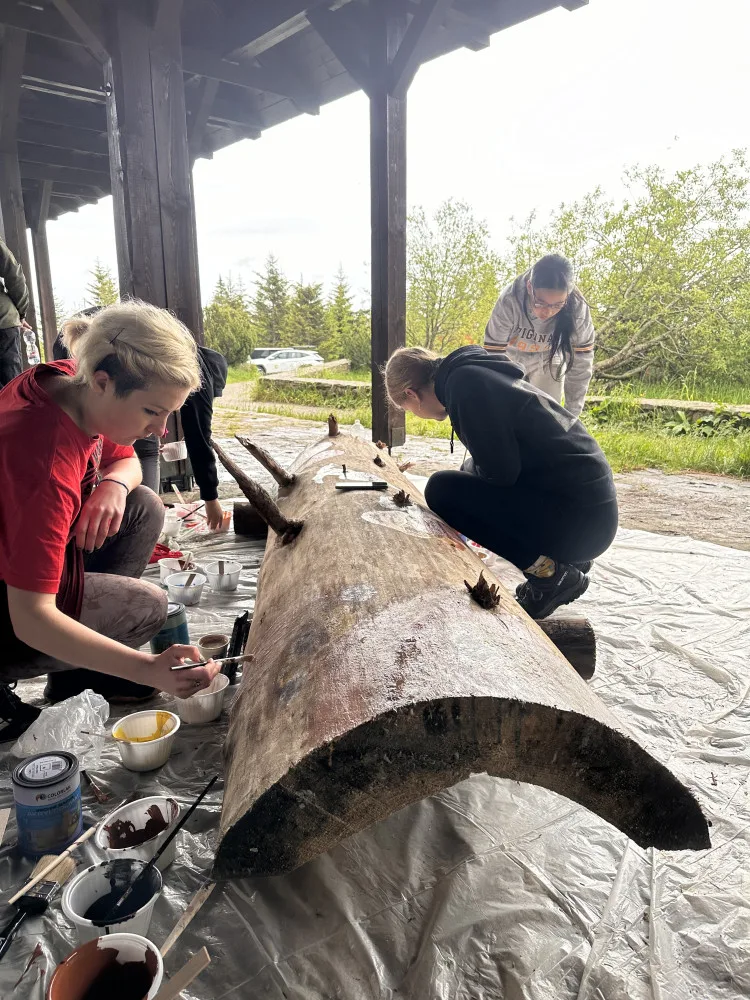 Mrtvé a uschlé šumavské kmeny oživovala desítka umělců svými malbami na rozhledně Poledník