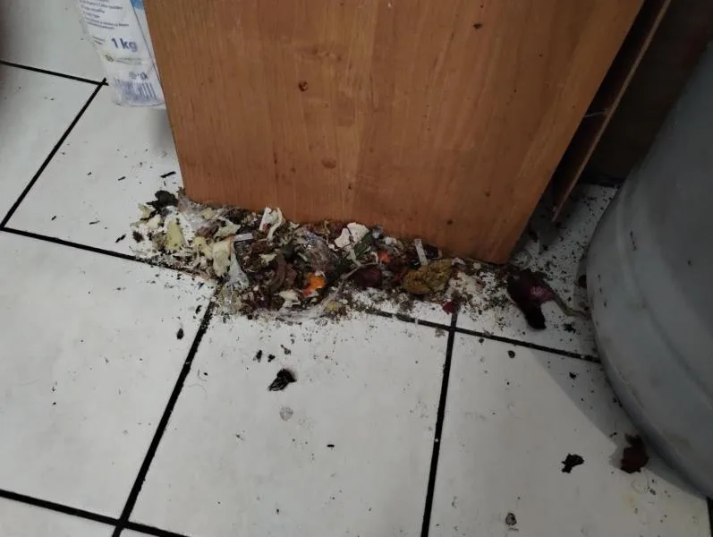 Plesnivé stropy, špína a mrtví švábi na podlaze, inspekce uzavřela zanedbaný Kebab house