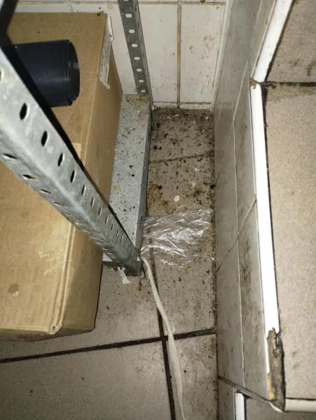 Plesnivé stropy, špína a mrtví švábi na podlaze, inspekce uzavřela zanedbaný Kebab house