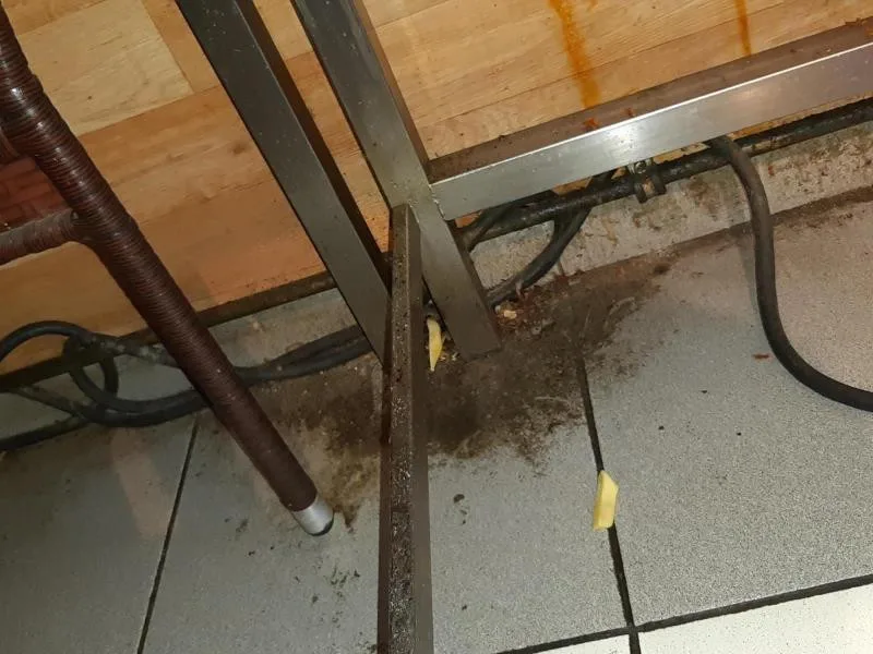 Plesnivé stropy, špína a mrtví švábi na podlaze, inspekce uzavřela zanedbaný Kebab house