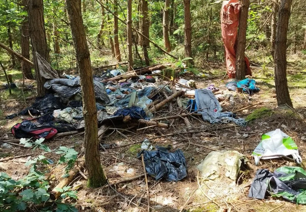 Lidé mění městské lesy v nechutné skládky odpadů, zakládají nelegální ohniště a auta houbařů blokují výjezdy