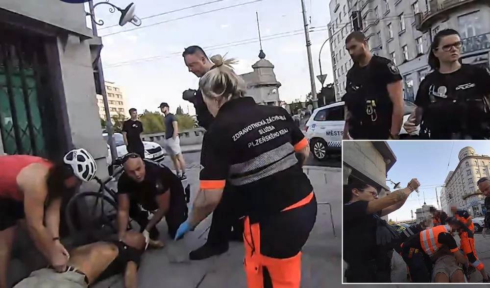 Alergik zkolaboval po bodnutí vosou, život mu zachránili strážníci