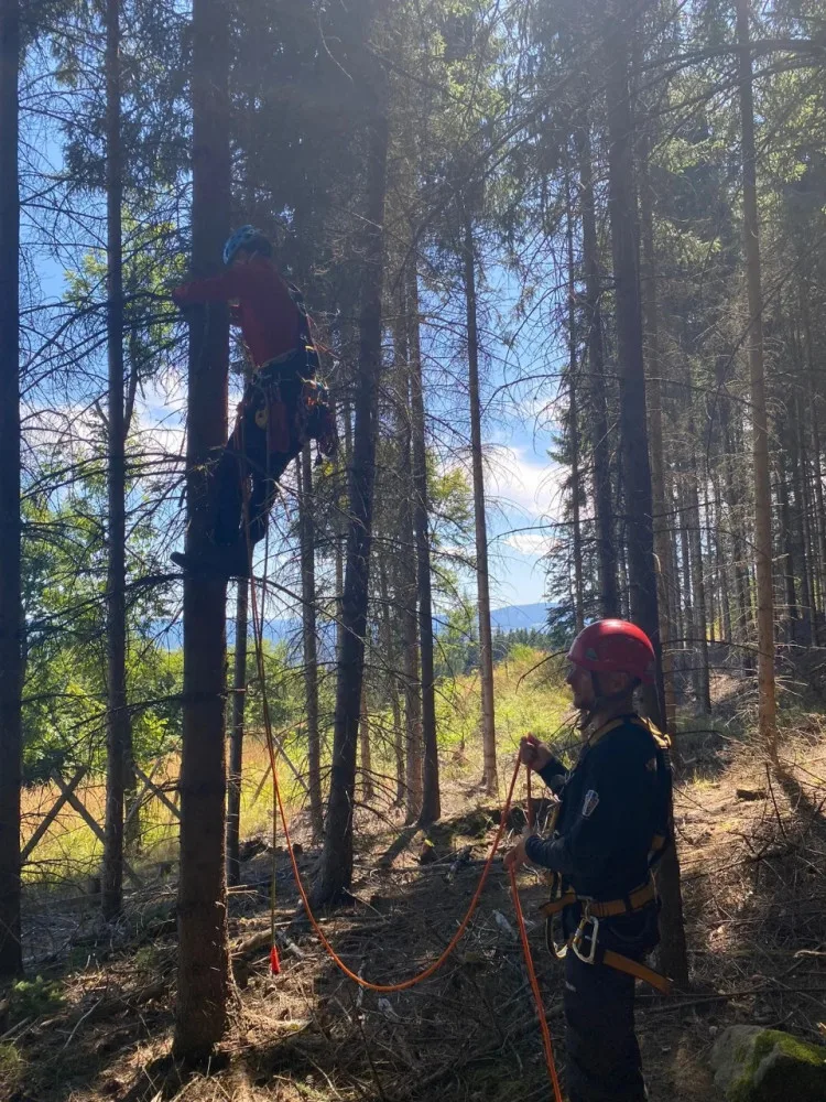 Šumavští horští záchranáři sundávali ze stromu dalšího paraglidistu, uvízl ve dvanáctimetrové výšce