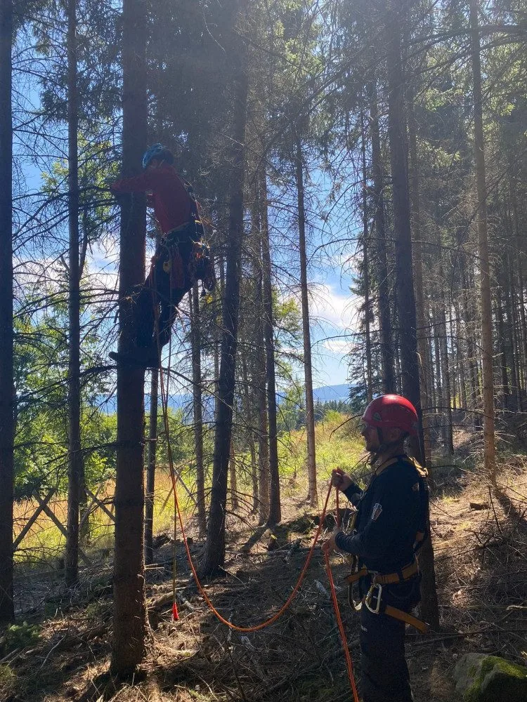 Šumavští horští záchranáři sundávali ze stromu dalšího paraglidistu, uvízl ve dvanáctimetrové výšce