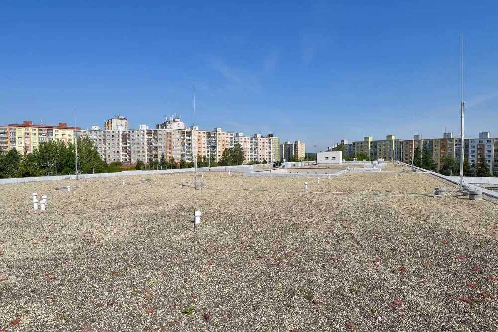 Základní škola se může pyšnit jednou z největších zelených střech. Město vyšla její rekonstrukce na 49 milionů