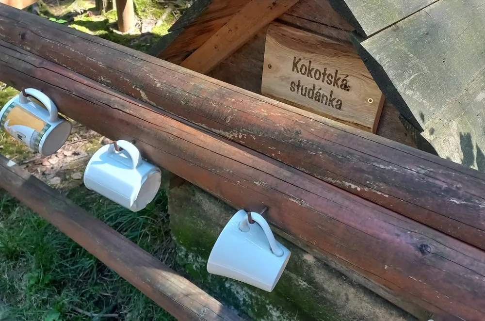 Lesnici obnovili tři studánky v lesích na Kokotsku, podél stezky je i ta s kuriozním názvem U Čůráčku
