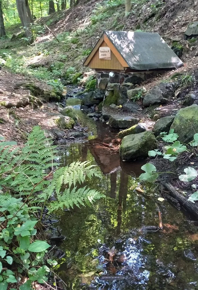 Lesnici obnovili tři studánky v lesích na Kokotsku, podél stezky je i ta s kuriozním názvem U Čůráčku