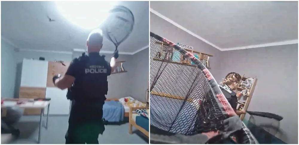 VIDEO: Byt obsadily desítky netopýrů, odchytávali je strážníci s podběráky