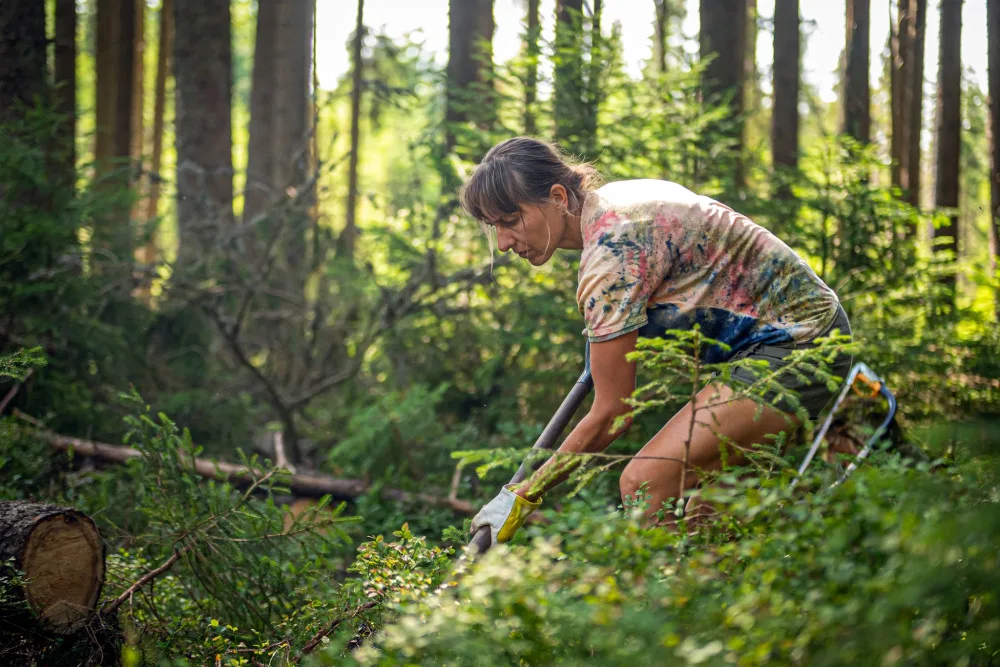 Desítky dobrovolníků pomáhaly s obnovou mokřadů a rašelinišť v Národním parku Šumava