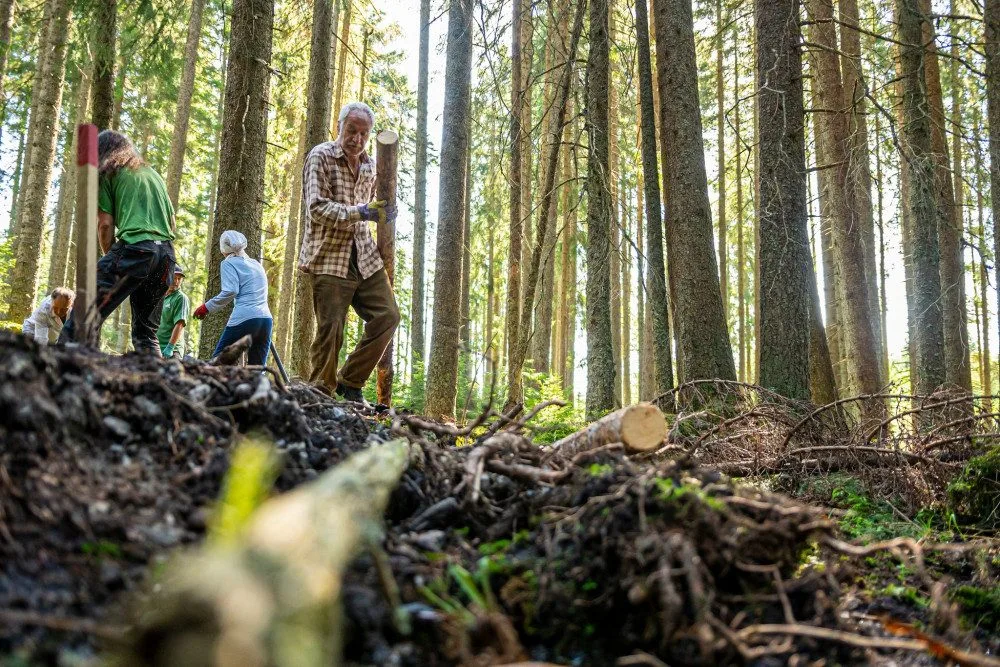 Desítky dobrovolníků pomáhaly s obnovou mokřadů a rašelinišť v Národním parku Šumava