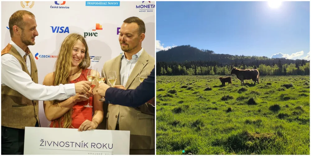 Firma roku pracuje s umělou inteligencí, nejlepší živnostník ekologicky farmaří na Šumavě
