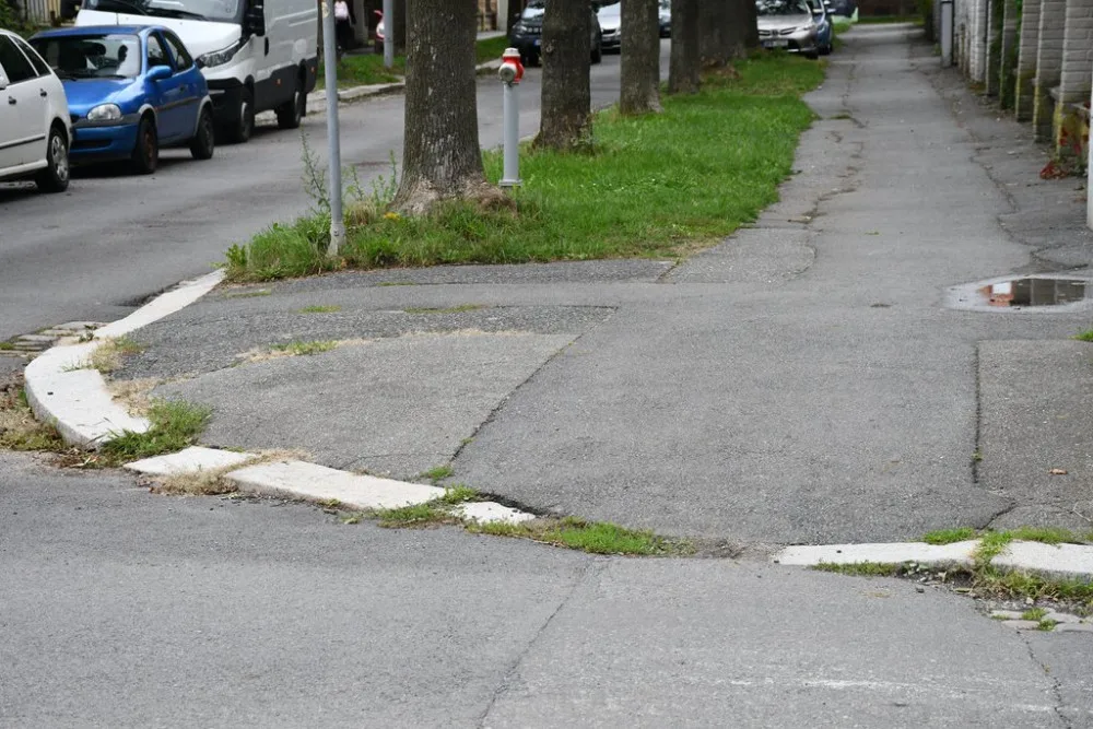 Ulice Kapitána Jaroše se dočká opravy vozovky i chodníků, dožívající jasany půjdou pryč