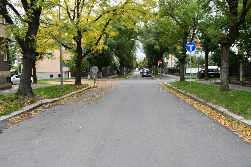 Ulice Kapitána Jaroše se dočká opravy vozovky i chodníků, dožívající jasany půjdou pryč