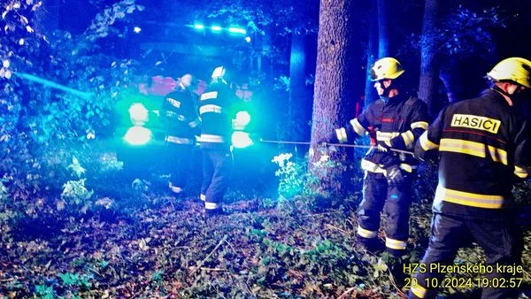 Řidič skočil s elektromobilem do rybníku. Auto dokázalo uplavat 100 metrů, téměř až ke druhému břehu
