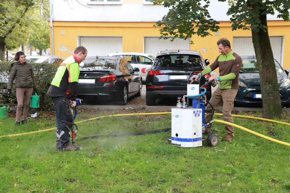 Stoletý jasan dostal speciální půdní výživu, infuze přímo ke kořenům ho ochrání před škůdci a chorobami
