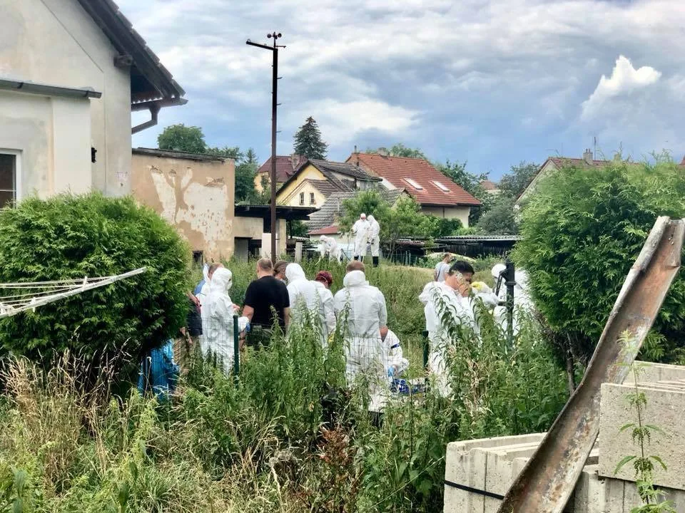 Majitelka otřesné množírny psů neuspěla se stížností u Ústavního soudu, podmínka za týrání stále platí