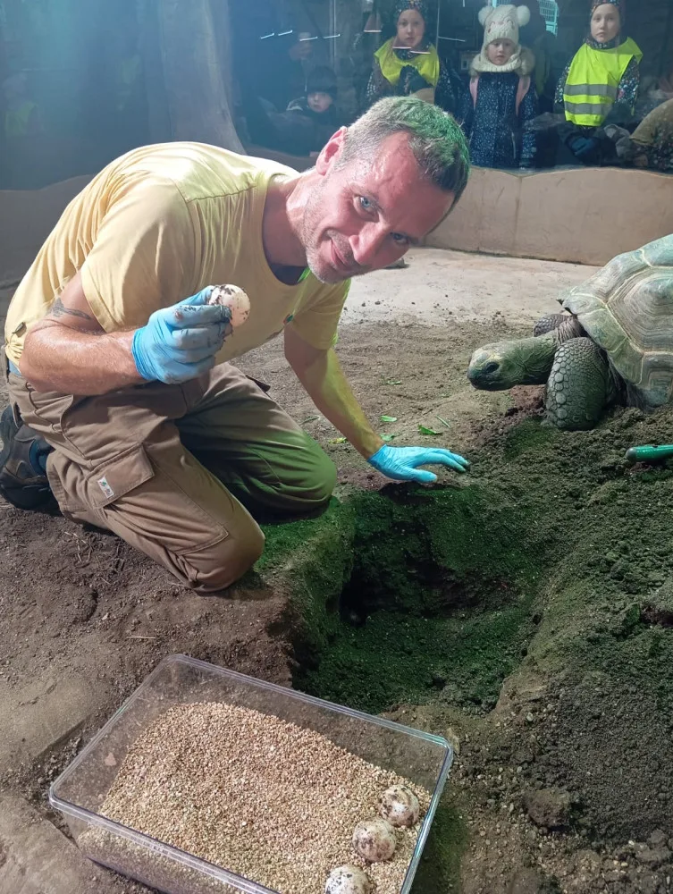 Neuvěřitelná senzace v plzeňské zoo, želva obrovská nečekaně nakladla další snůšku vajec