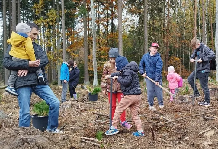 Malí i velcí Plzeňané na podzim vysázeli tisíce stromků. Městský les V Pytli ožil po kůrovcové kalamitě