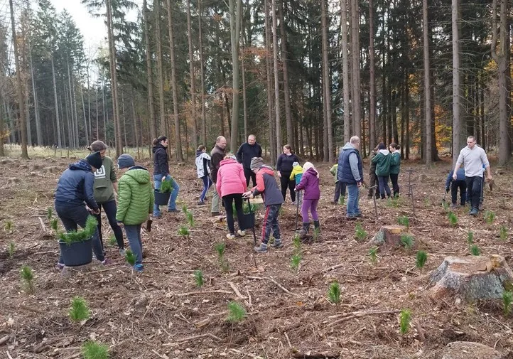 Malí i velcí Plzeňané na podzim vysázeli tisíce stromků. Městský les V Pytli ožil po kůrovcové kalamitě