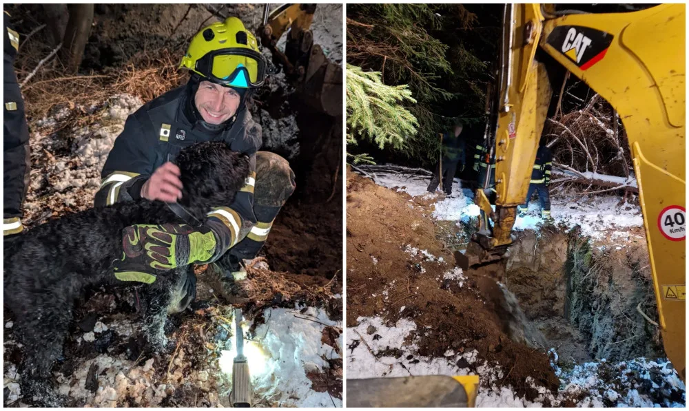 Ben se při venčení zaběhl a uvízl v drenážním potrubí, vyprostit ho museli s pomocí bagru
