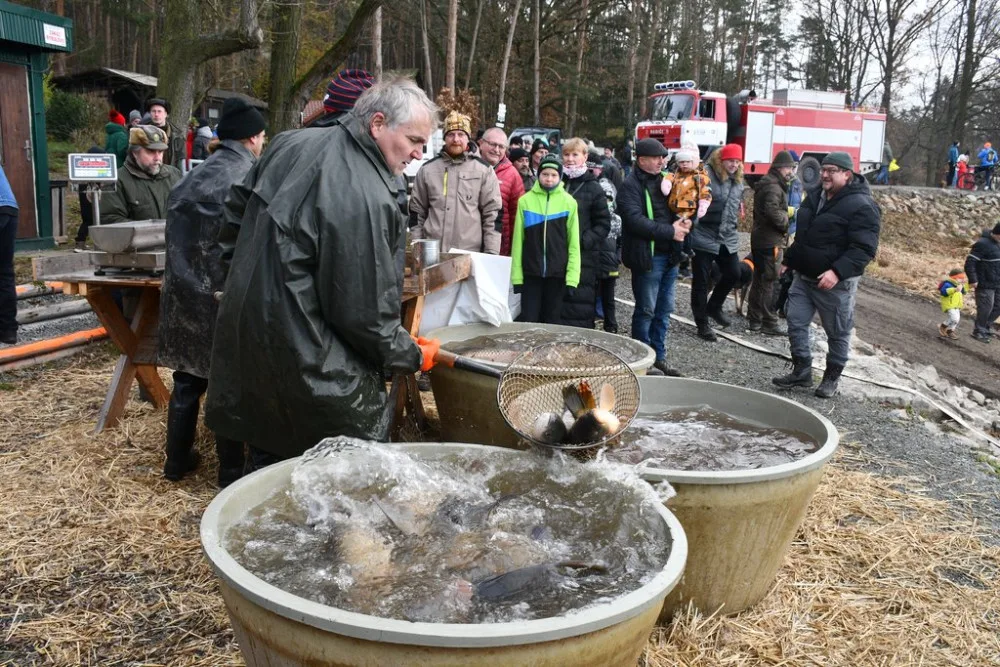 Město začalo s prodejem vánočních stromků, naváže na něj s nabídkou ryb