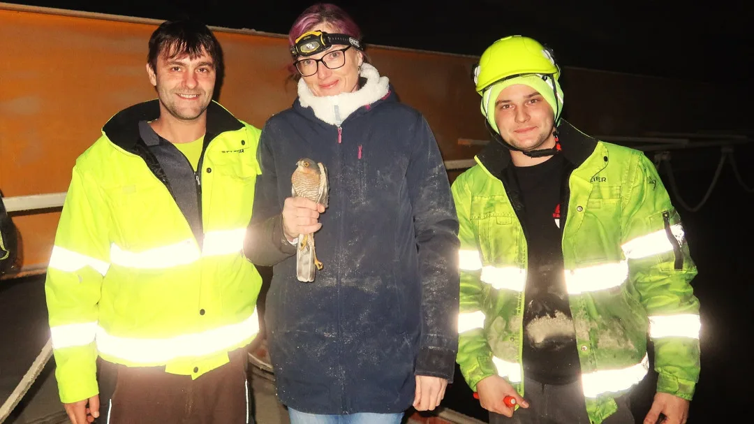 O odchyt krahujce se bravurně postarala Mirka Sokolová