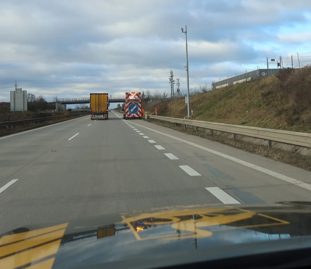 Lišku srazilo na dálnici D5 auto. Těžce zraněnou samici nechtěl opustit její partner a neustále vbíhal do vozovky