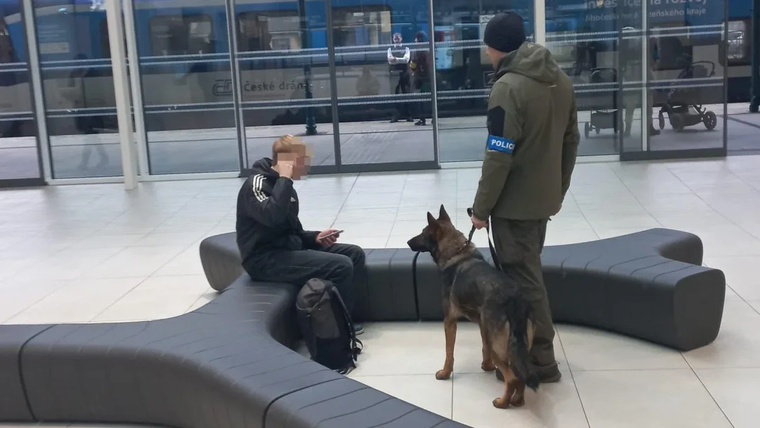 Policejní psi vyrazili do ostré akce na vlakové nádraží. Pět z osmnácti zkontrolovaných osob u sebe mělo drogy