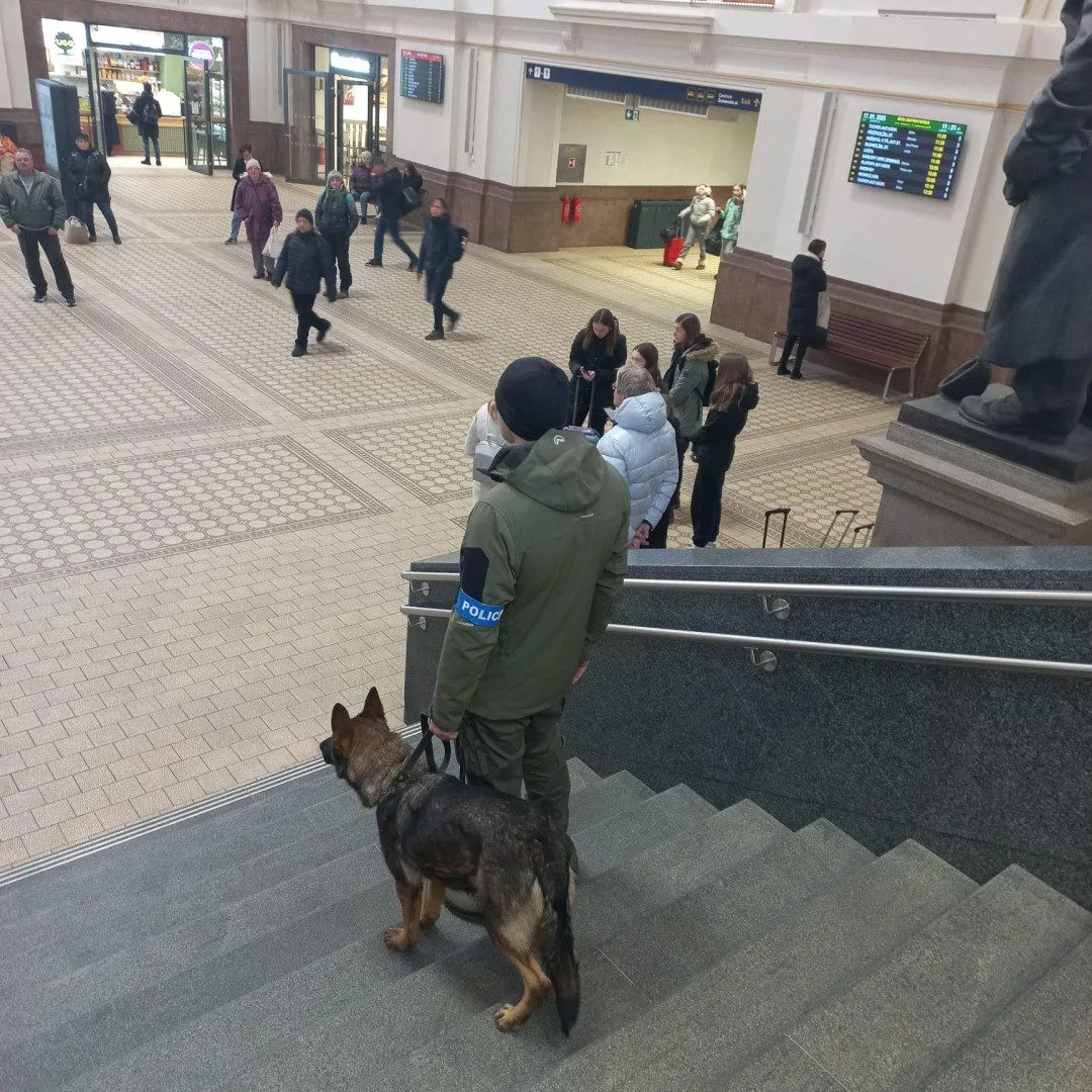 Policejní psi vyrazili do ostré akce na vlakové nádraží. Pět z osmnácti zkontrolovaných osob u sebe mělo drogy